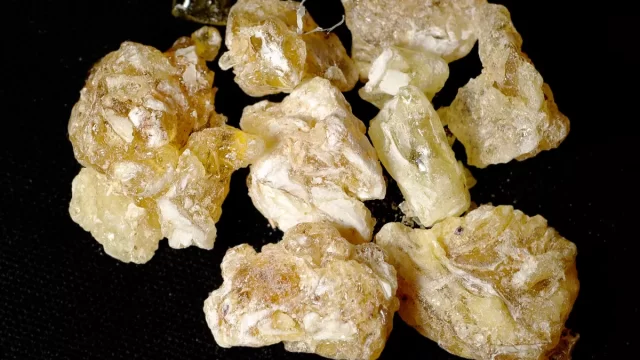 Frankincense_2005-12-31